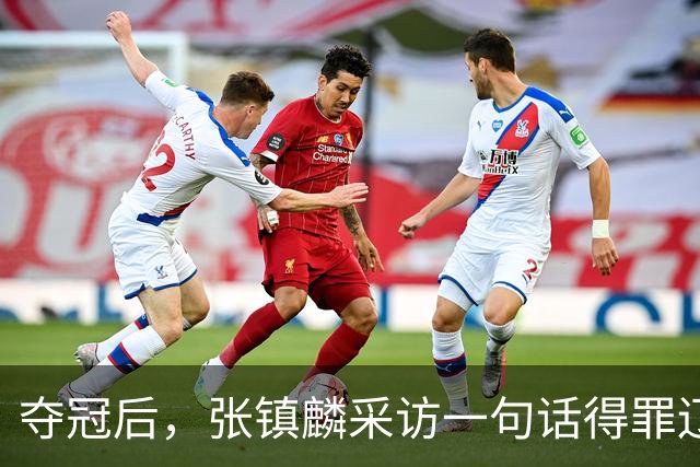 夺冠后，张镇麟采访一句话得罪辽宁，辽蜜：有本事到四川证明价值